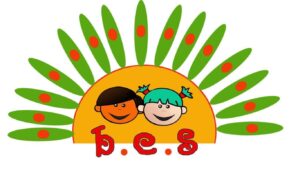 BCS logo 1 300x169